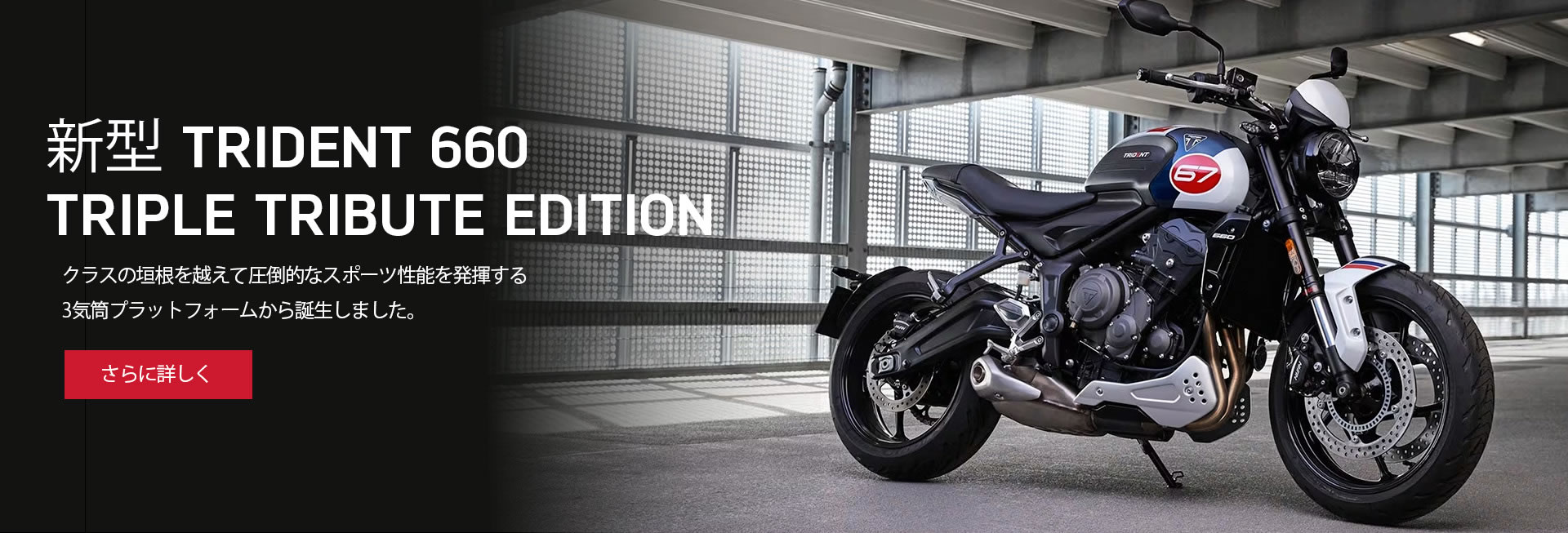 新型 TRIDENT 660 TRIPLE TRIBUTE EDITION